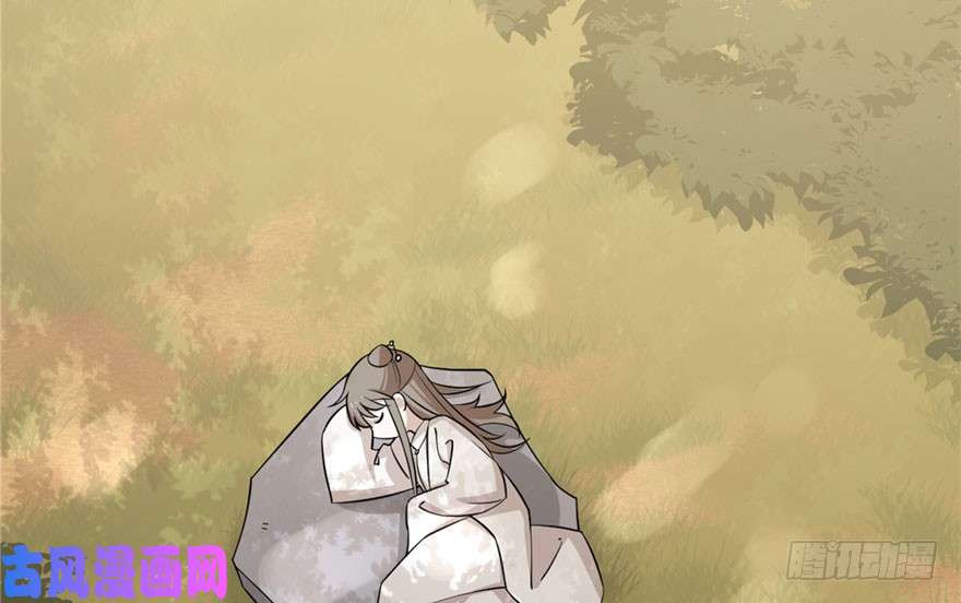 毒步天下：特工神医小兽妃51