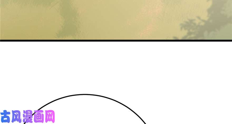 毒步天下：特工神医小兽妃51