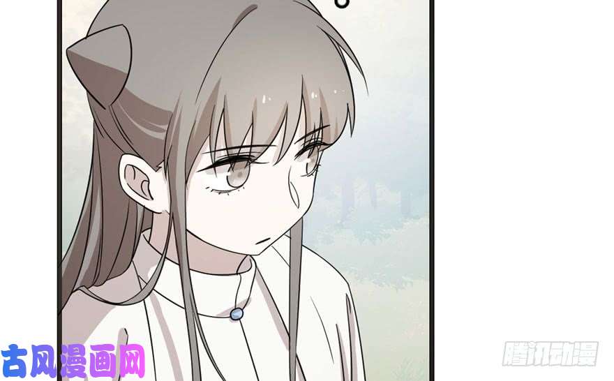 毒步天下：特工神医小兽妃51