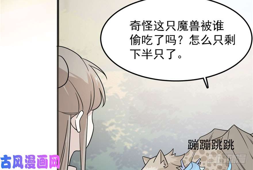 毒步天下：特工神医小兽妃51