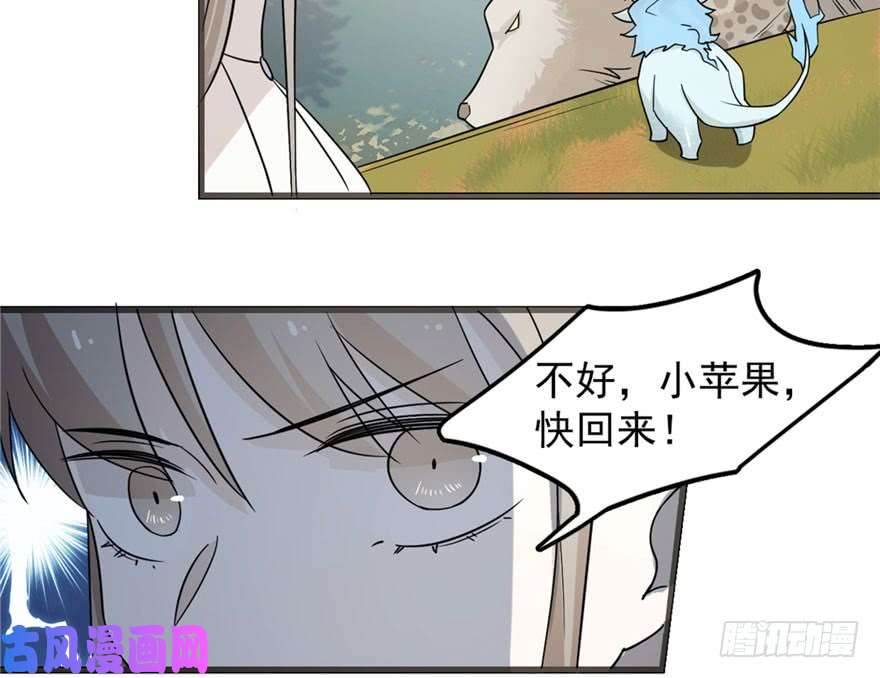 毒步天下：特工神医小兽妃51