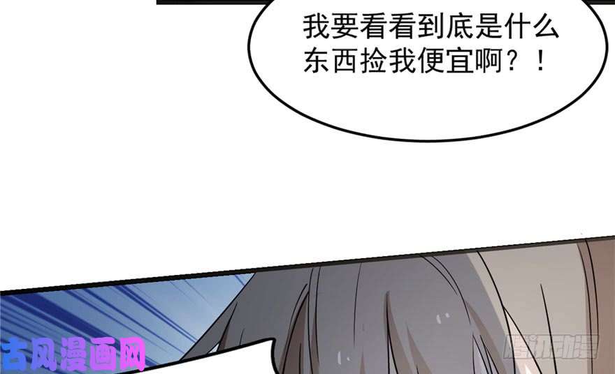 毒步天下：特工神医小兽妃51