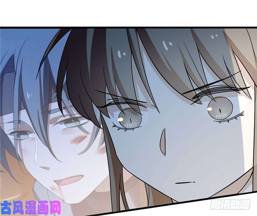 毒步天下：特工神医小兽妃51