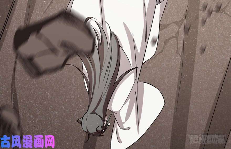 毒步天下：特工神医小兽妃51