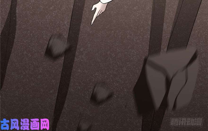 毒步天下：特工神医小兽妃51