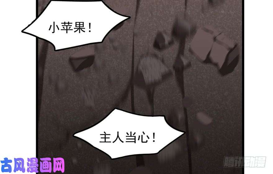 毒步天下：特工神医小兽妃51