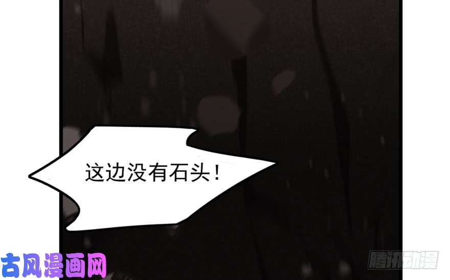 毒步天下：特工神医小兽妃51