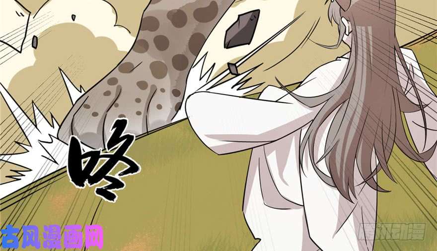 毒步天下：特工神医小兽妃51