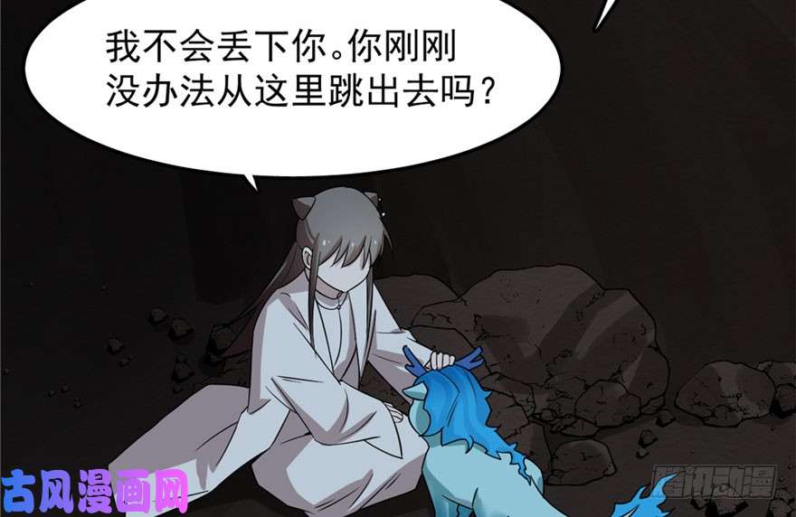 毒步天下：特工神医小兽妃51