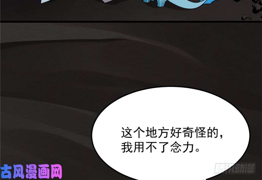 毒步天下：特工神医小兽妃51