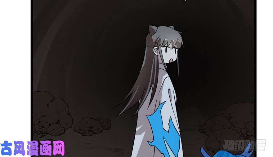 毒步天下：特工神医小兽妃51