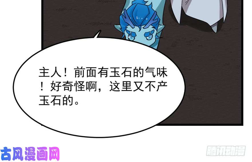 毒步天下：特工神医小兽妃51