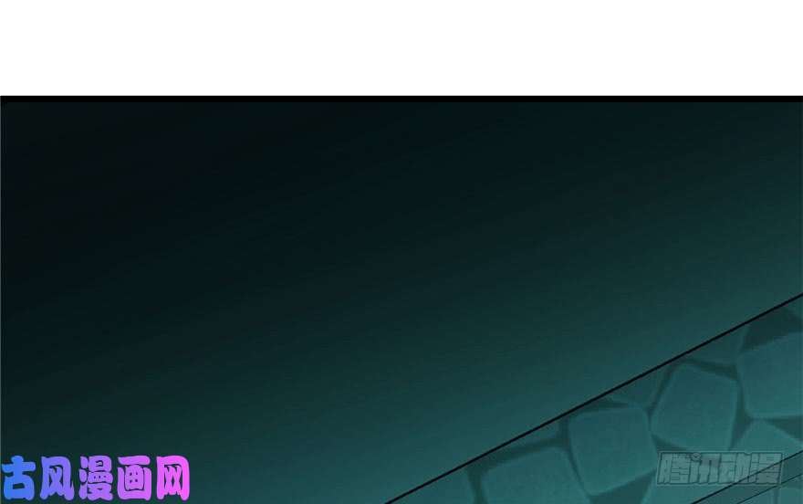 毒步天下：特工神医小兽妃51