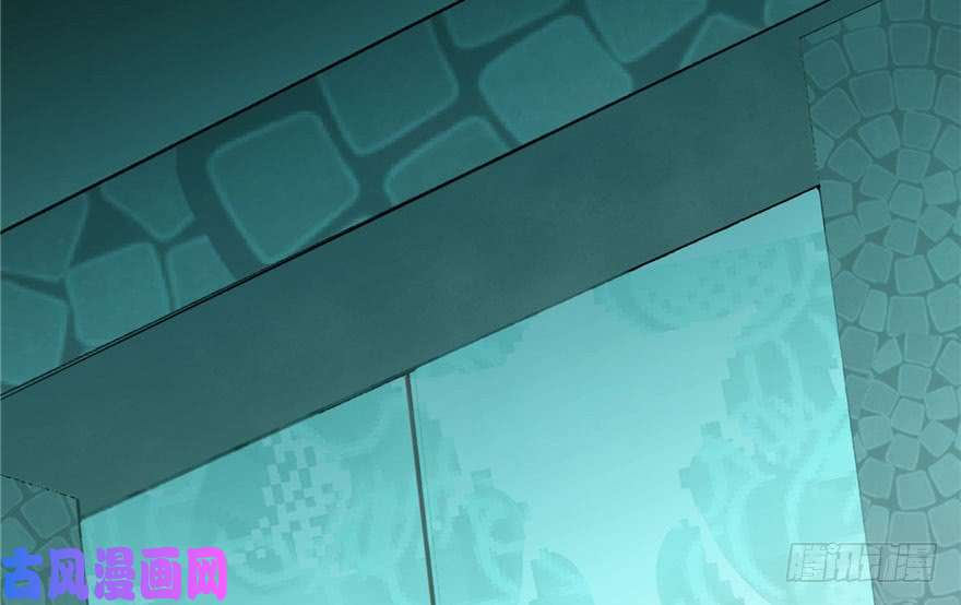 毒步天下：特工神医小兽妃51