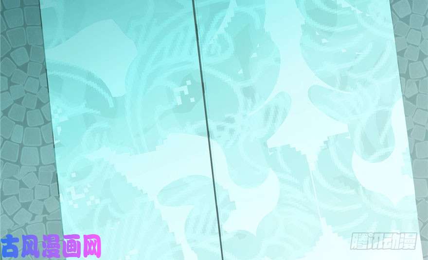 毒步天下：特工神医小兽妃51