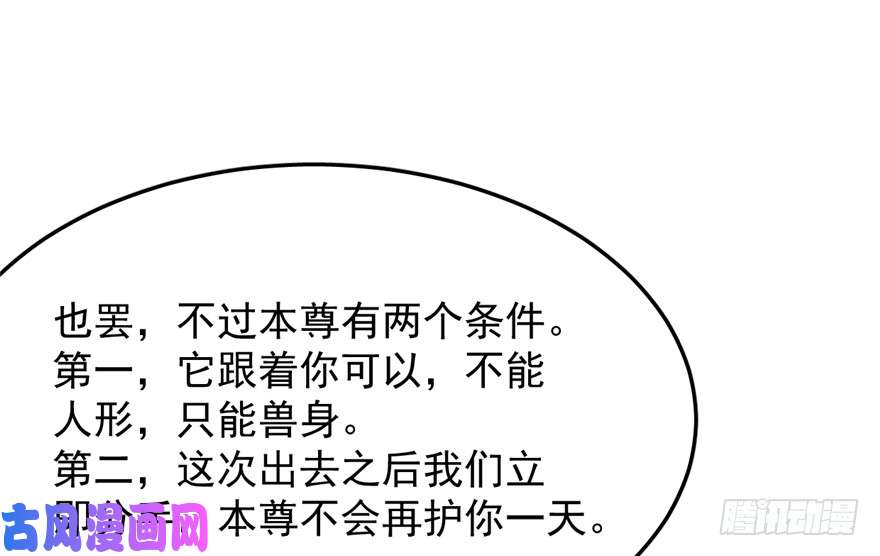 毒步天下：特工神医小兽妃50