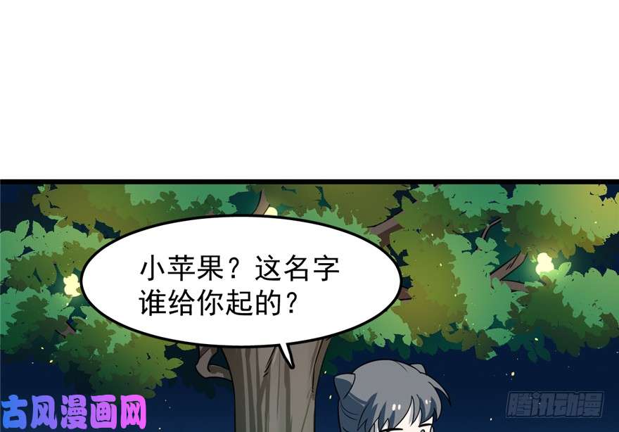 毒步天下：特工神医小兽妃50