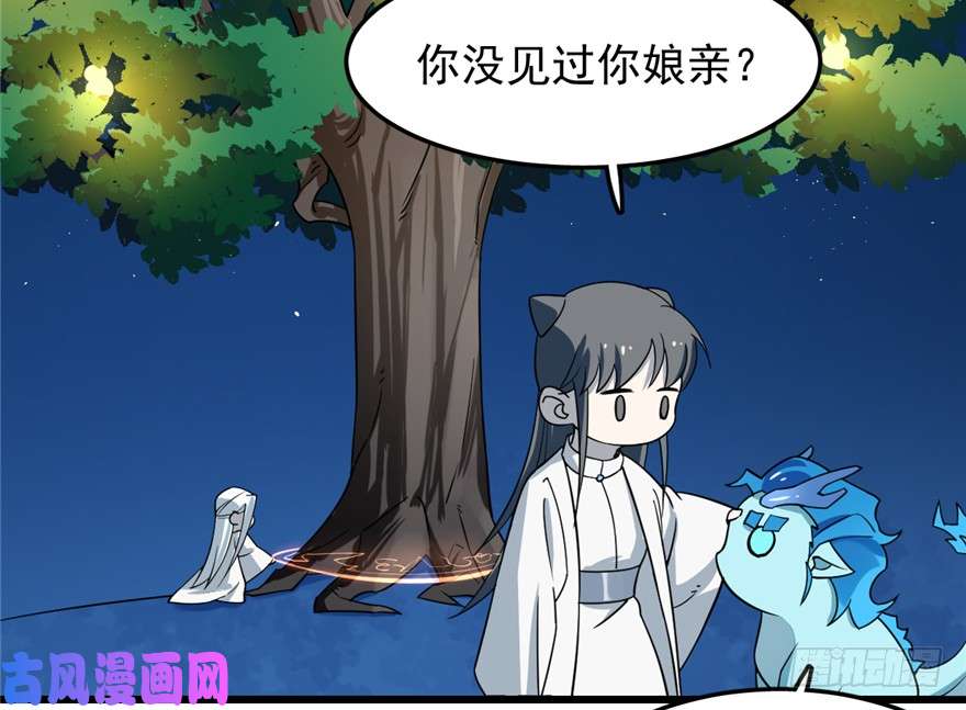 毒步天下：特工神医小兽妃50