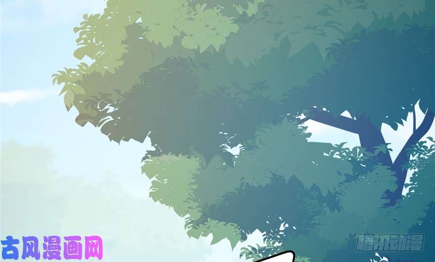 毒步天下：特工神医小兽妃50