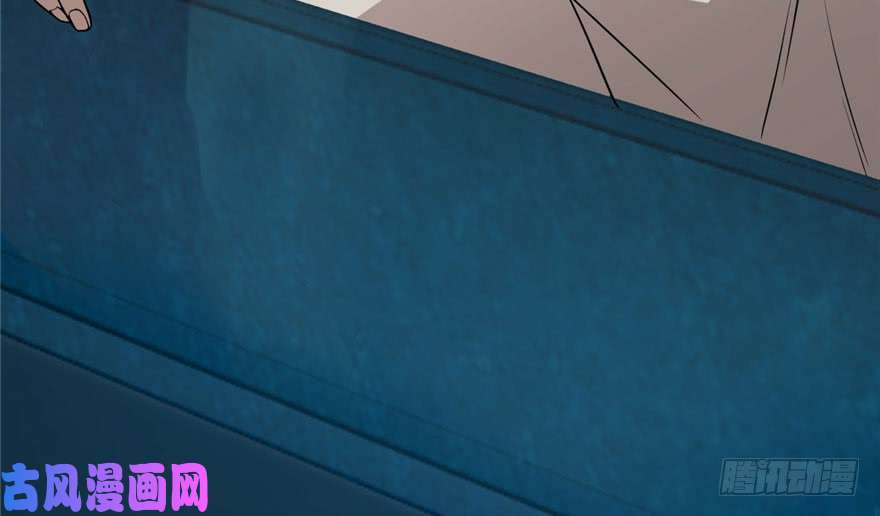 毒步天下：特工神医小兽妃52