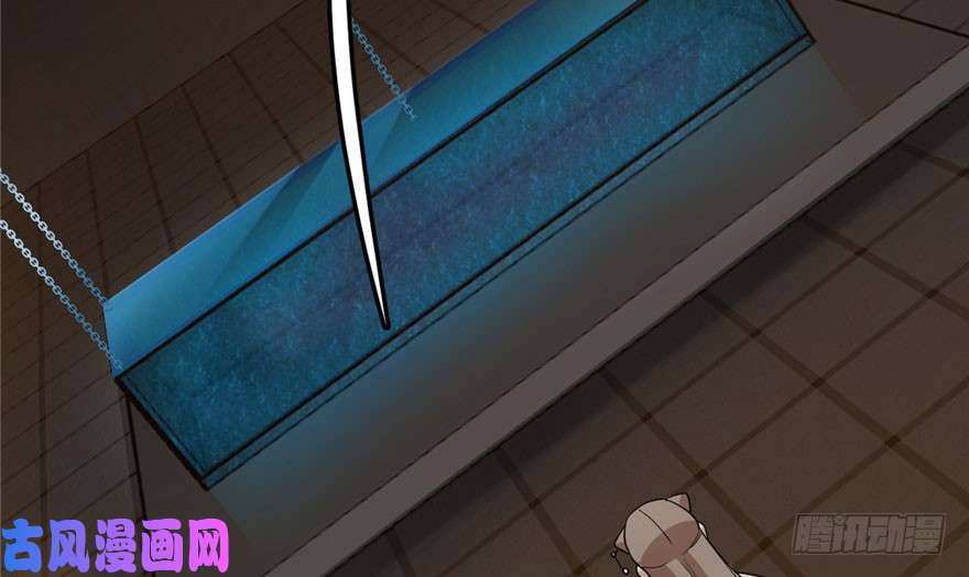 毒步天下：特工神医小兽妃52