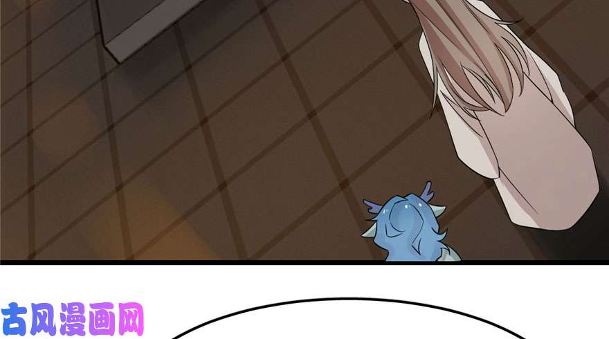 毒步天下：特工神医小兽妃52