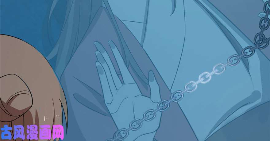 毒步天下：特工神医小兽妃52