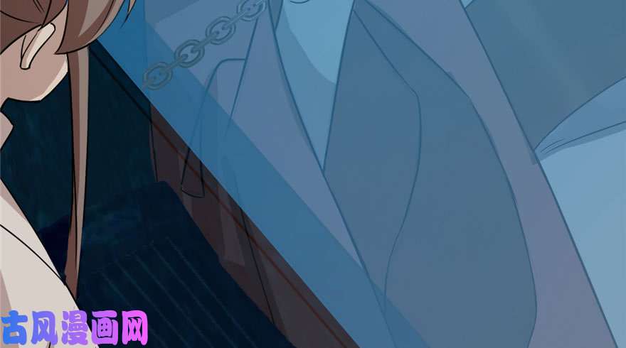 毒步天下：特工神医小兽妃52