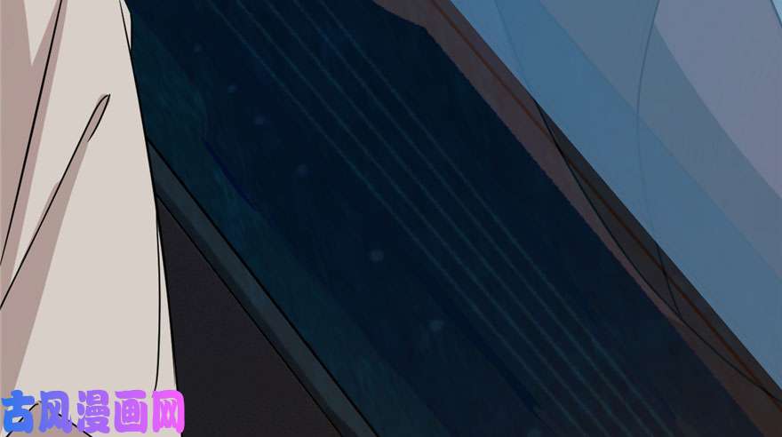 毒步天下：特工神医小兽妃52