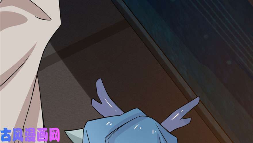 毒步天下：特工神医小兽妃52