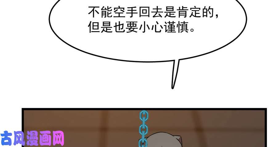 毒步天下：特工神医小兽妃52