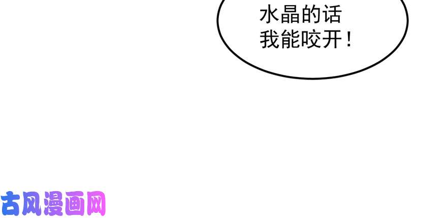 毒步天下：特工神医小兽妃52