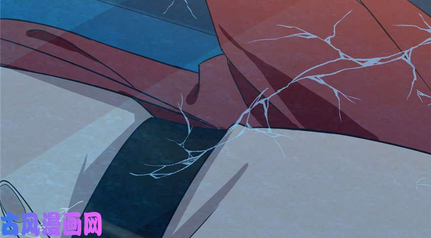 毒步天下：特工神医小兽妃52