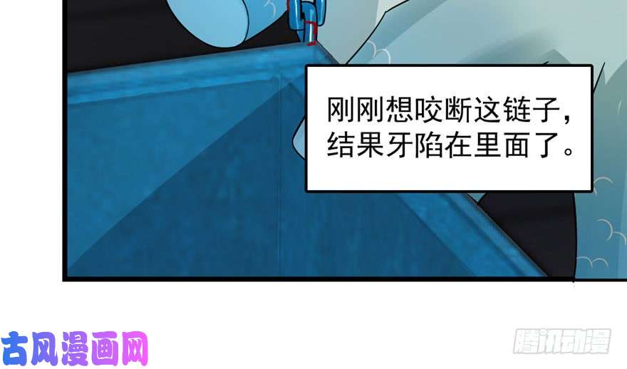 毒步天下：特工神医小兽妃52