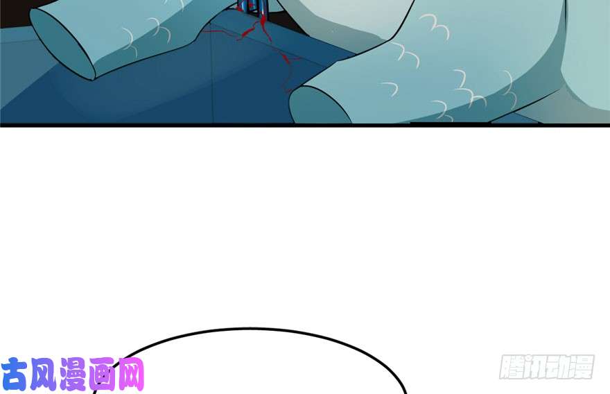 毒步天下：特工神医小兽妃52