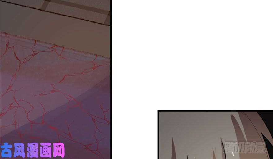 毒步天下：特工神医小兽妃52