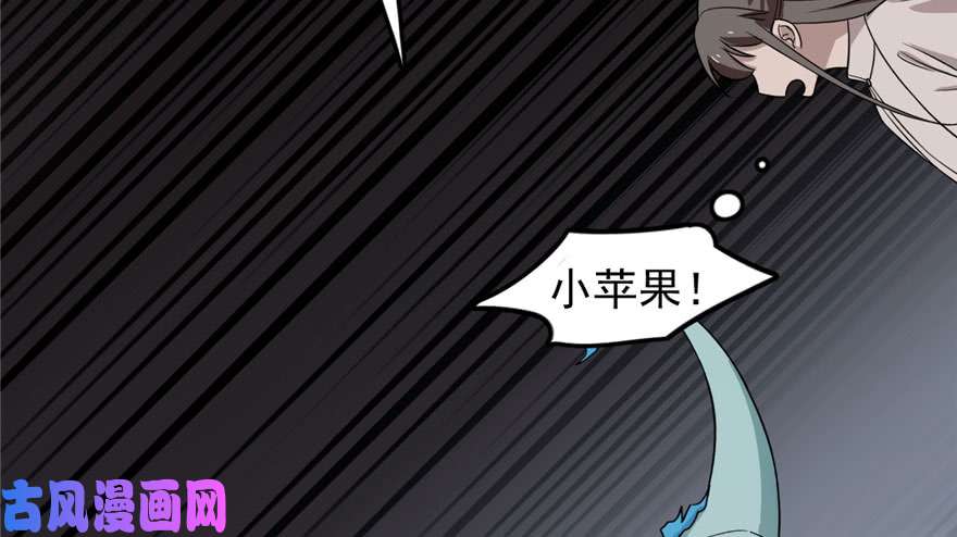 毒步天下：特工神医小兽妃53