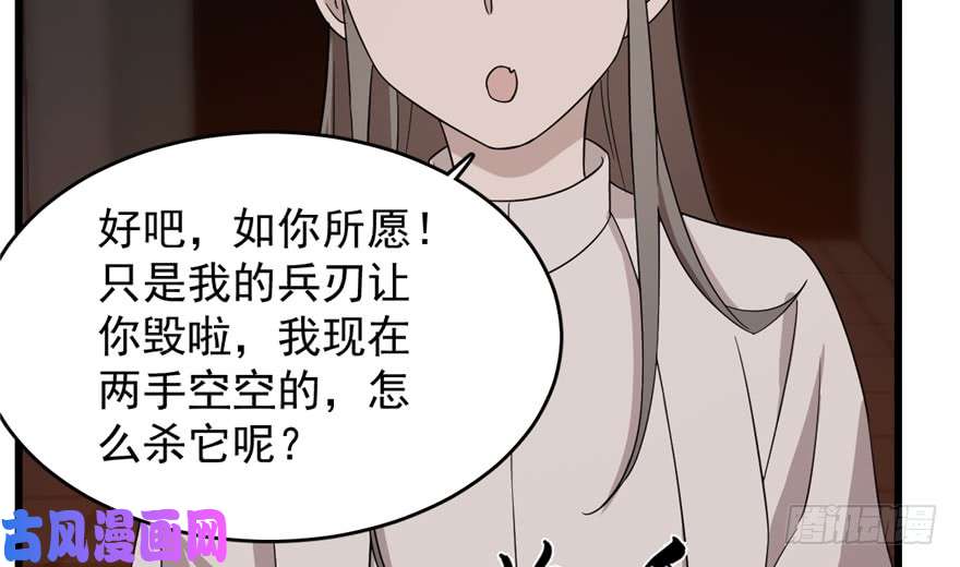 毒步天下：特工神医小兽妃54