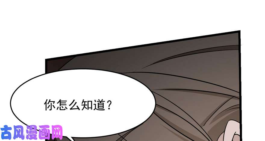 毒步天下：特工神医小兽妃55