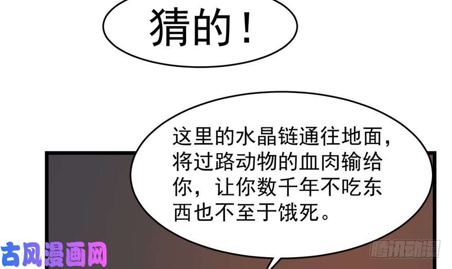 毒步天下：特工神医小兽妃55