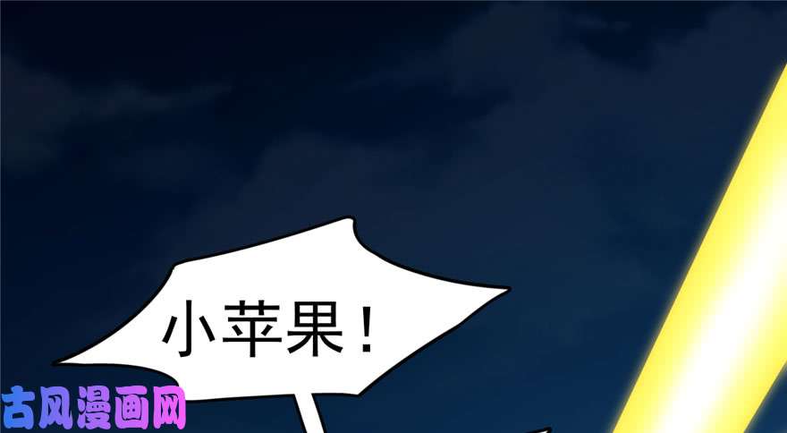 毒步天下：特工神医小兽妃56