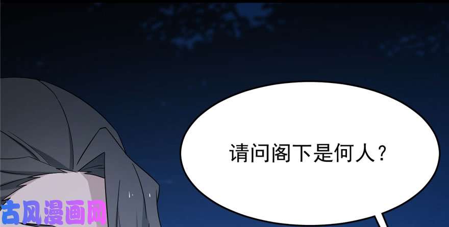 毒步天下：特工神医小兽妃56