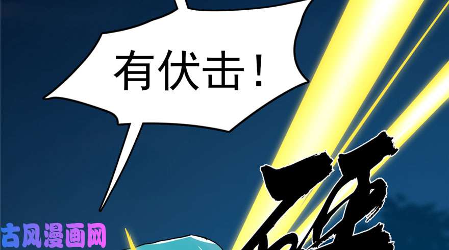 毒步天下：特工神医小兽妃56