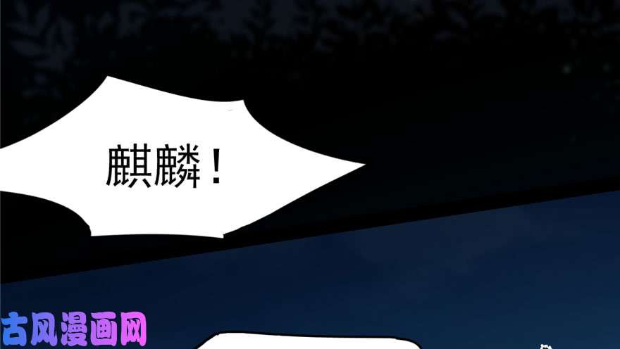 毒步天下：特工神医小兽妃56