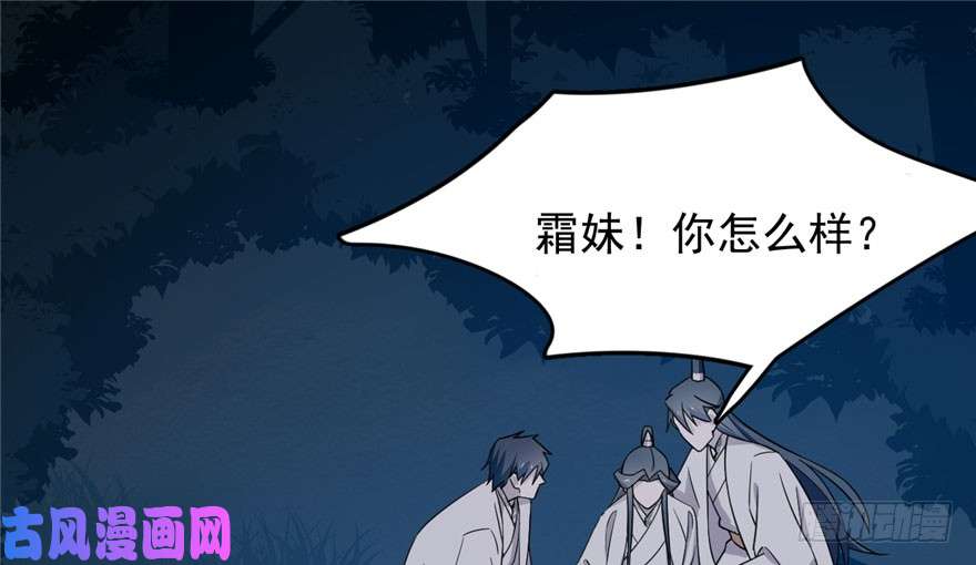 毒步天下：特工神医小兽妃56