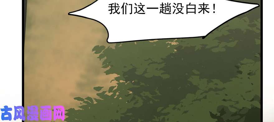 毒步天下：特工神医小兽妃57