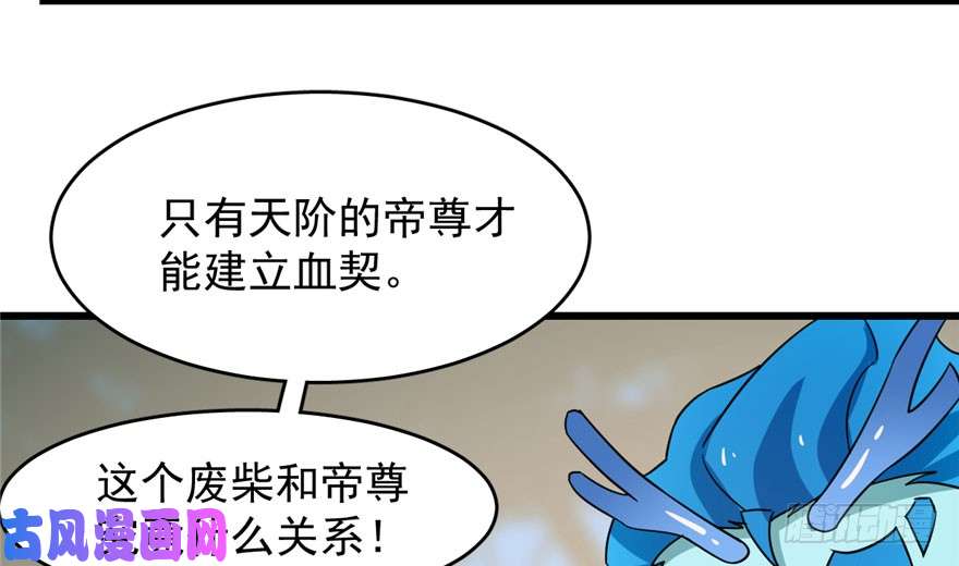 毒步天下：特工神医小兽妃57