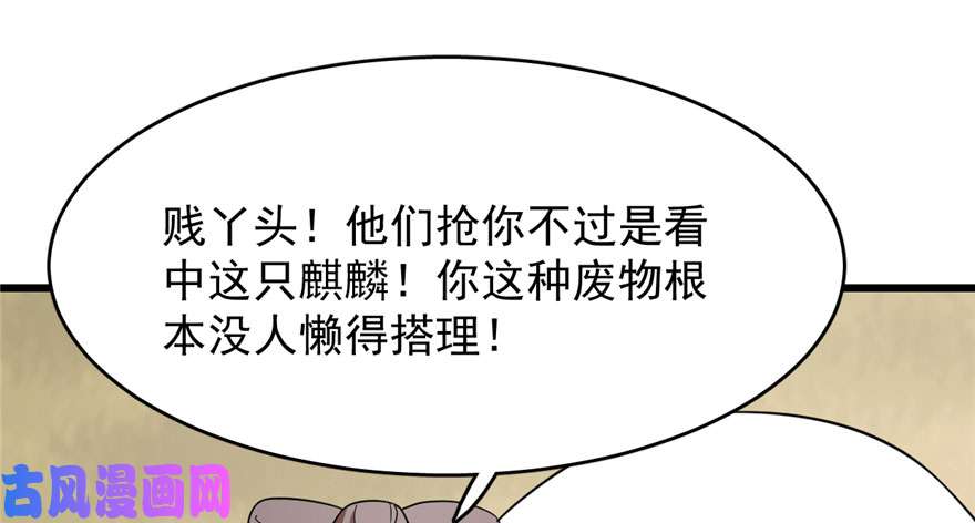 毒步天下：特工神医小兽妃57