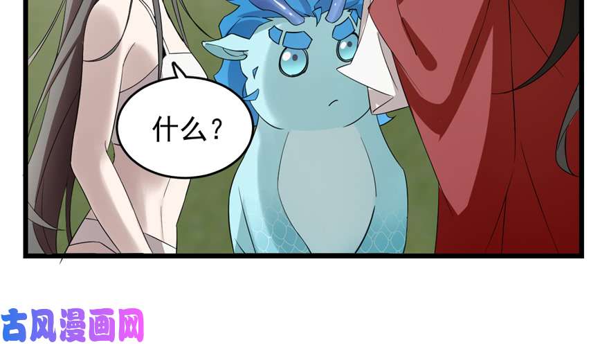 毒步天下：特工神医小兽妃60