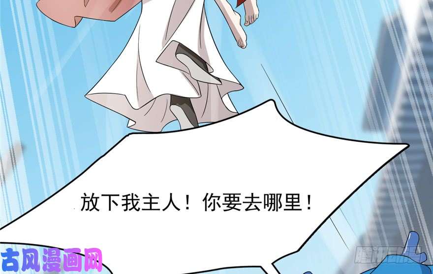 毒步天下：特工神医小兽妃60